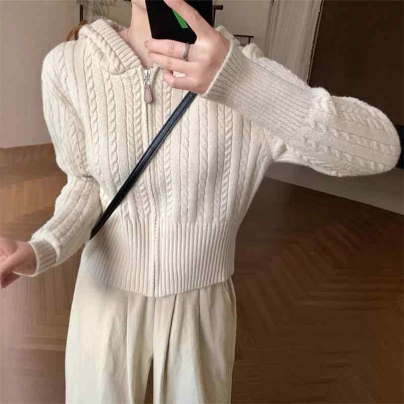 カーディガン 女性用 春夏 優しい気品 ジッパー 編み込み 麻混 ニット コート ジャケット 小柄 スリム ショート丈 トップス 軽量 柔らかい素材 通勤 普段使い ベージュ系 アイボリー ブラウン