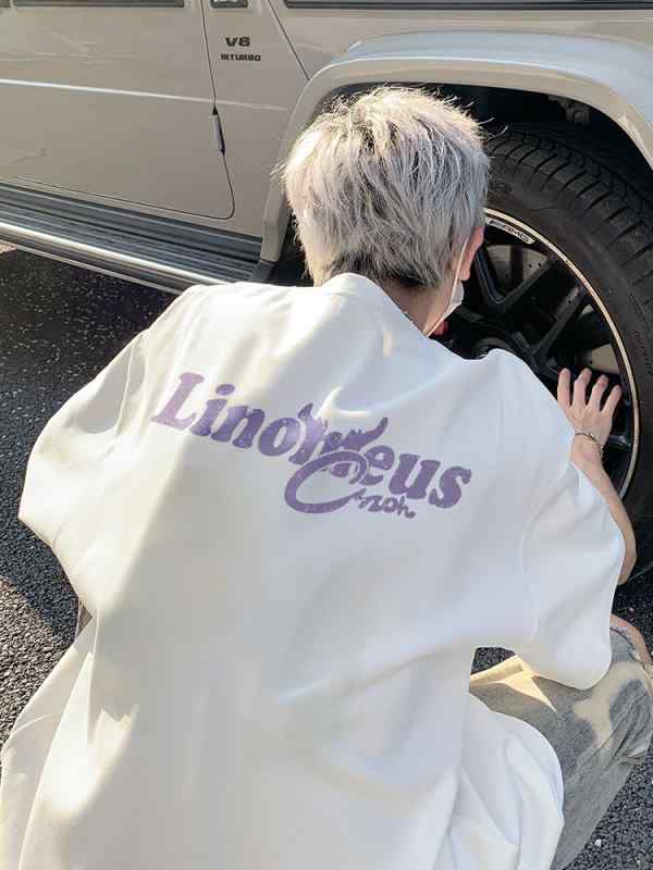 Tシャツ メンズ 短袖 白 綿100% アルファベット プリント ゆったり 厚手 夏用 カジュアル ストリート スタイル アメリカン ファッション トップス コットン ロゴ デザイン 軽量 吸湿速乾
