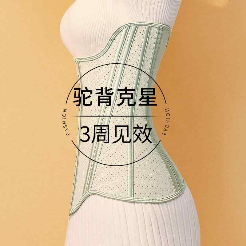 亭主もち用 身のこなし更生させる 前かがみ組みかえる 腹締め付け 腰受け支える 三尺帯 ボディシェイパー スリミング 酉の方角調教師 伸縮性 合わせる能力のある 軽さ 日常使い走り お座敷着 運動競技相応う