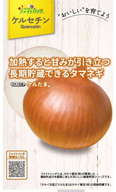 楽天市場】【予約商品 10月～11月発送開始】玉ねぎ苗 晩性 ケルたま