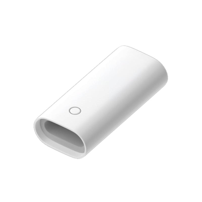 MM出品◆ブラジルアップル、１２０ｃｍｘ５苗 MM出品◇ブラジルアップル、120cmx5苗 MM様専用出品◇ブラジル