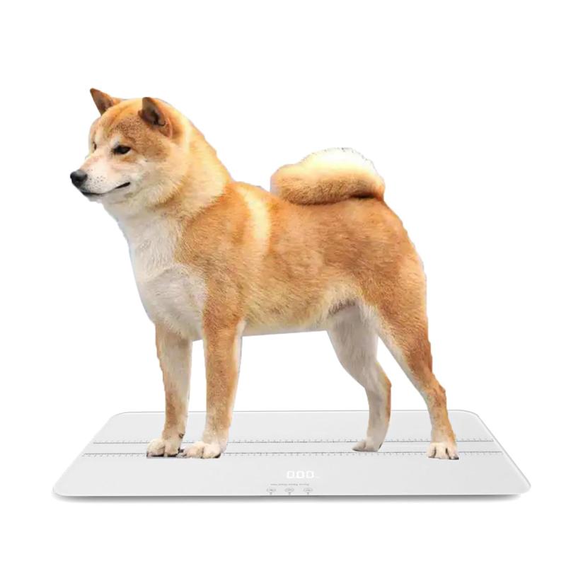 愛玩動物 体量計 【編成替え版\u0026amp;大型犬用の体量計】 10gユニット 最大限度100kg USB申し受ける式 LED見せびらかす 外辺部の丸さ製作 L69糎 x W33糎 x D3.5糎 体量 犬 猫 人 日本語言いあらわす書付き添い人