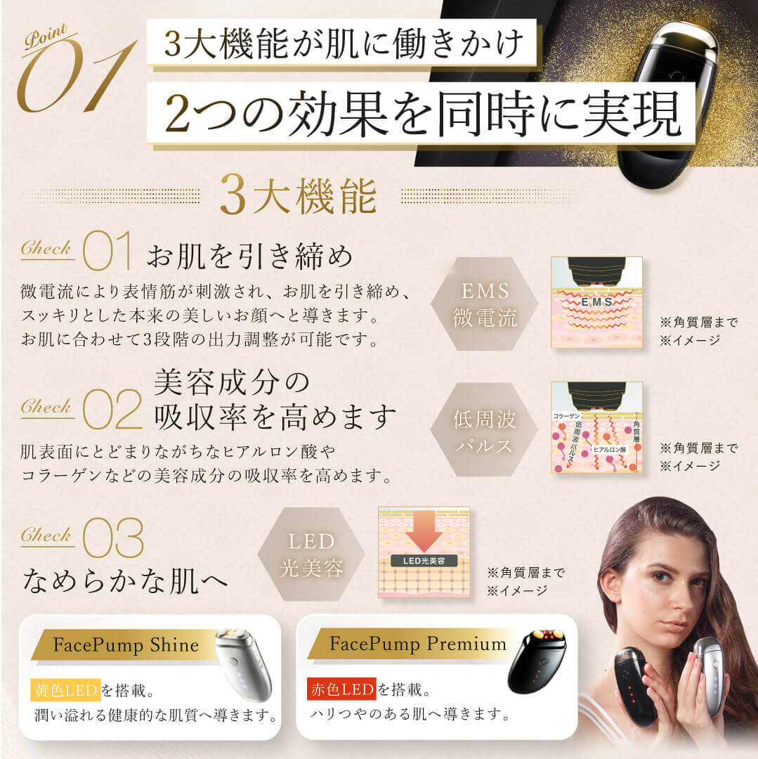 EMS 美顔器 日本製 限定3880円ポイント還元【正規代理店】リフトアップ