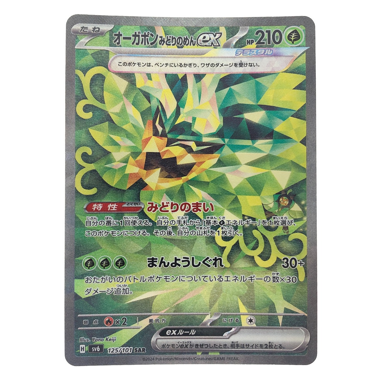 オーガポンみどりのめんex デッキ　構築済みデッキ　ポケカ　タケルライコex 35 ポケカ 構築済みデッキ タケルライコex オーガポンみどりの