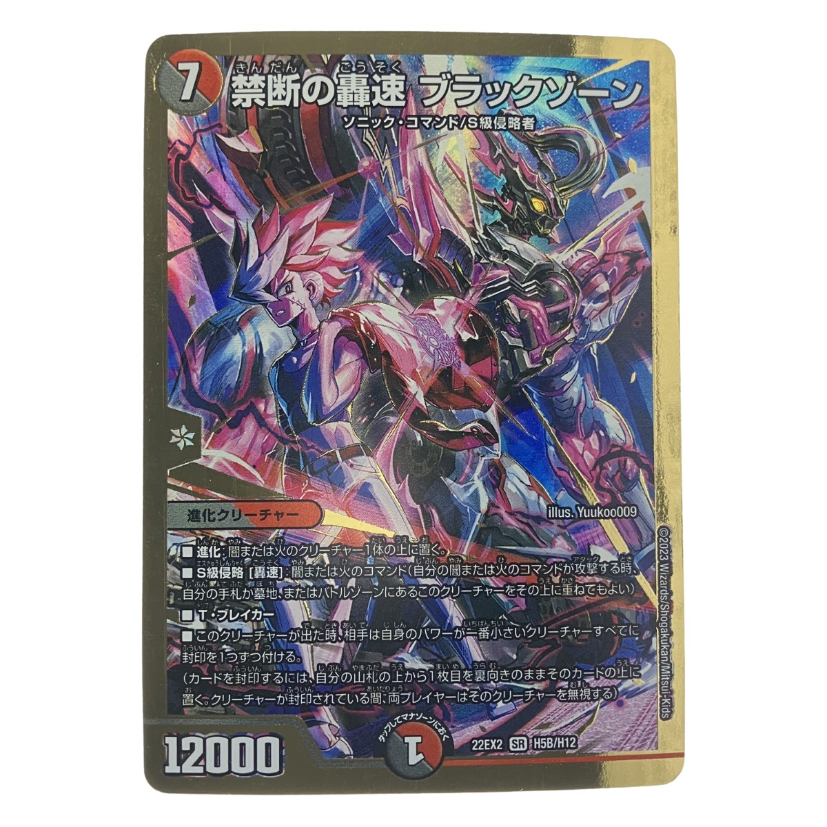 楽天市場】デュエル・マスターズ 22EX2 ヒーローレア H5A/H12 多色