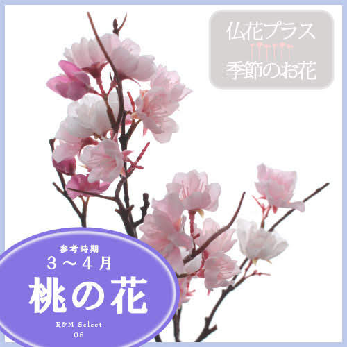 楽天市場 桃の花 モモ 造花 仏壇 お供え 5 000円以上送料無料 フラワーショップｒ ｍ