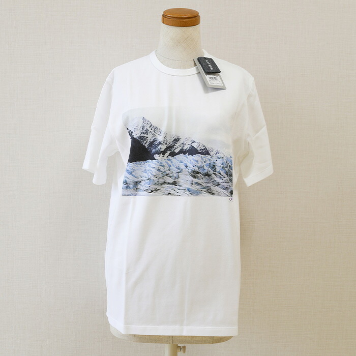 送料無料 CITERA シテラ ALASKA 氷河 転写プリント 日本製 綿100％ 半袖Ｔシャツ メンズシャツ メンズファッション 男女兼用 メンズTシャツ スポーツウエア 白 made in Japan 日本製 シテラ アクティブ 紳士カジュアル ブランドＴシャツ
