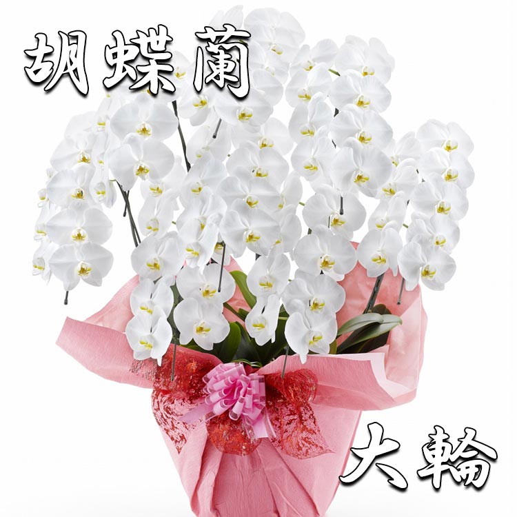 薔薇の胸花を受け取ったら