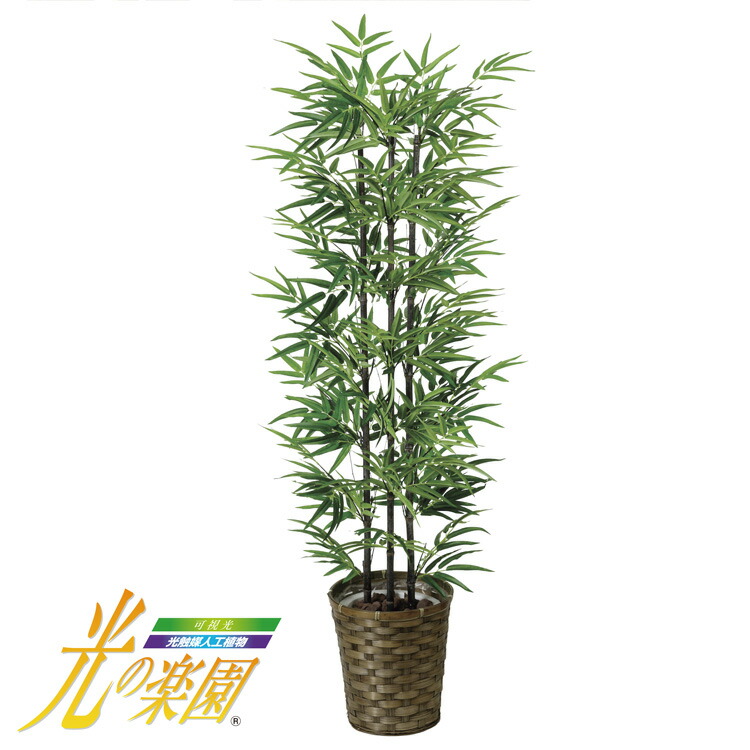 フェイクグリーン 黒竹 造花 鉢植 インテリア ディスプレイ 開店祝い 記念日 光触媒人工植物 抗菌 消臭 ホルムアルデヒド分解 プレゼント Cliniquemenara Ma