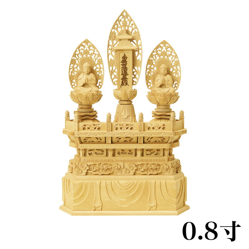 10096407.jpg