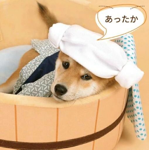温泉風呂桶型 猫グッズ ハウス おもしろ 冬 ねこ 円形 猫ベッド