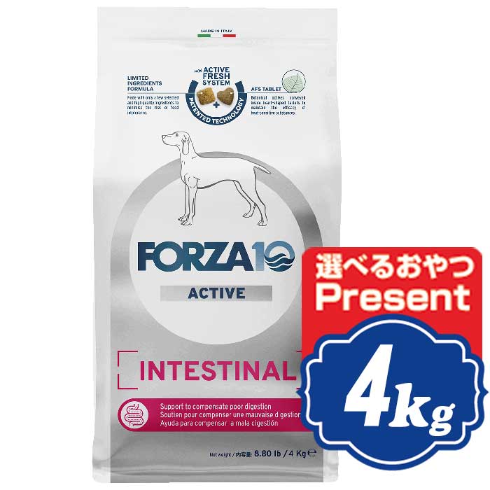 【最大10％OFFクーポン配布中】 FORZA10 ドッグ インテスティナル アクティブ ミディアム 中粒 4kg フォルツァディエチ Intestinal active ドッグフード 【正規品】