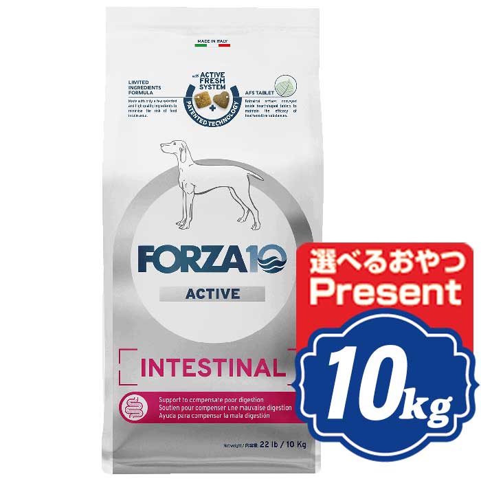 FORZA10 飼い犬 インテスティナル 活動的 並み並み 中粒 10kg フォルツァディエチ Intestinal active ドッグフード 【置き目品】