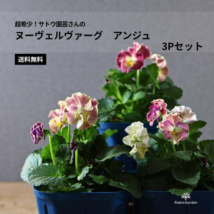 origa さま NL2♥ サトウ園芸ヌーヴェルヴァーグ アクアレール ♥超