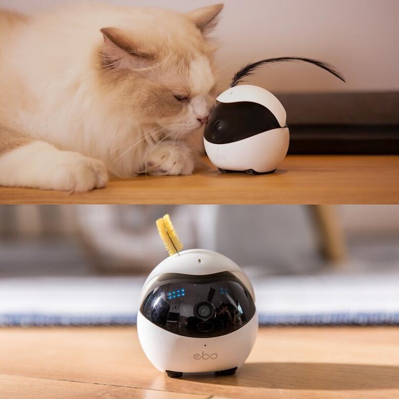 全日本送料無料 楽天市場 イーボ Ebo 猫用 ロボット ねこ 猫 猫用品 動く 見守り カメラ ペットモニター 撮影 会話 自動帰還充電 自動走行 子供 見守り ベビー おもちゃ 老人 介護 年寄り 室内 防犯 監視 カメラ ペット 留守番 音声通話 双方向音声 ワイヤレスカメラ