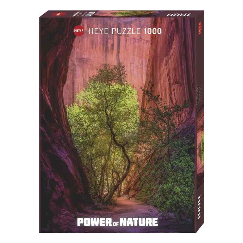 Singing Canyon Puzzle 1000 Teile