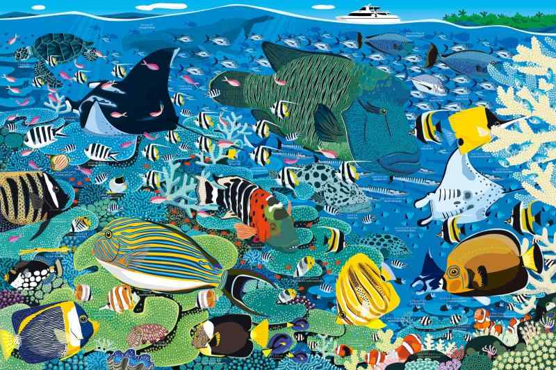 1000ピース ジグソーパズル めざせ パズルの達人 グレートバリアリーフの海(50x75cm)