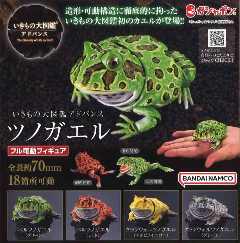 いきもの大図鑑アドバンス ツノガエル [全4種セット(フルコンプ)]｜ロックオンショップ