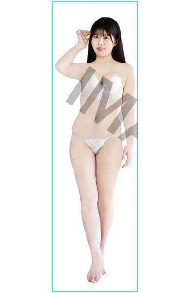 ちとせよしの 通常版 等身大抱き枕カバー 170x50cm|ロックオンショップ