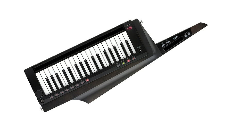 KORG RK-100S2 BK