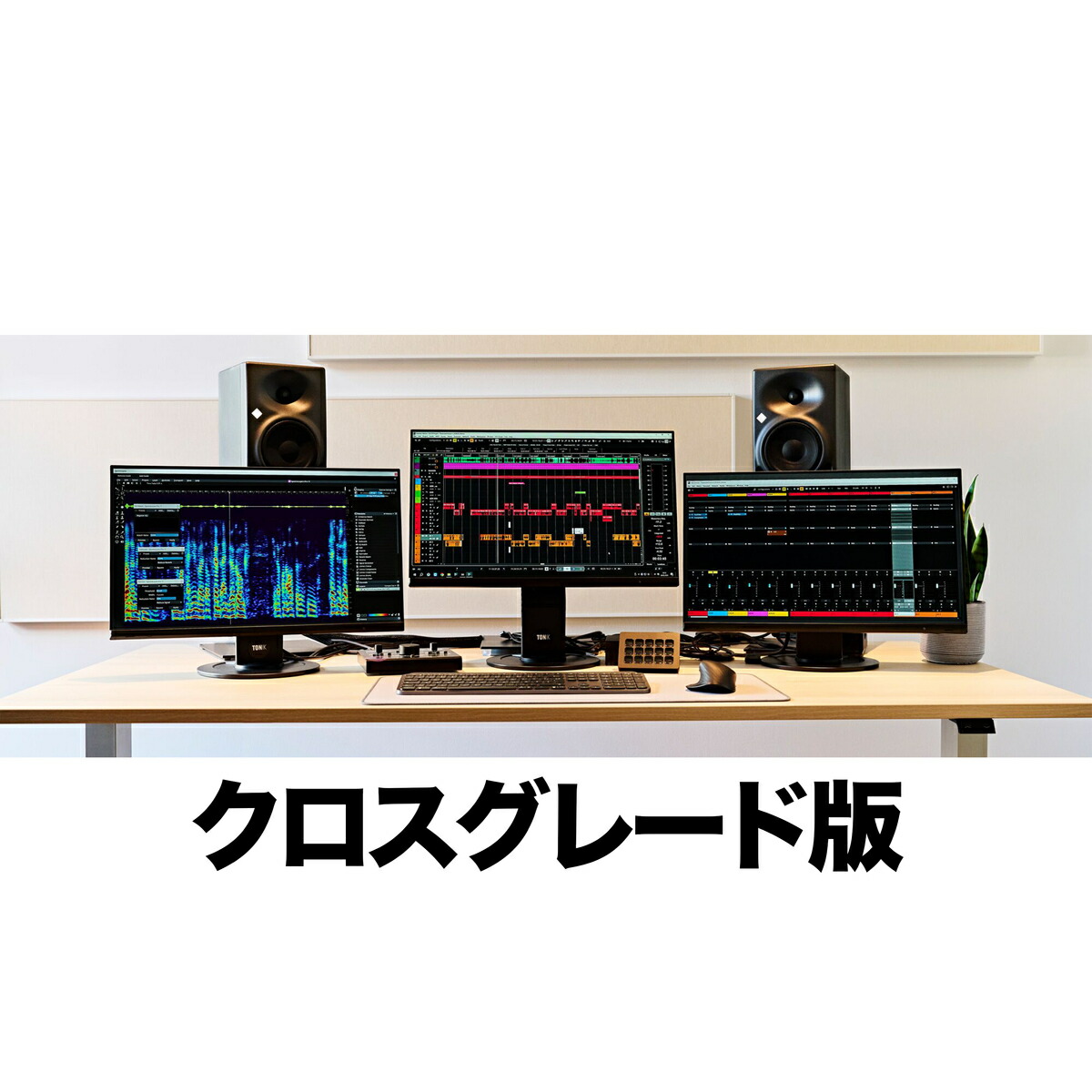 Steinberg(スタインバーグ) SpectraLayers Pro 12 Crossgrade【※シリアルメール納品】