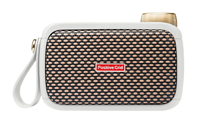 Positive Grid Spark GO Pearl 17,182円