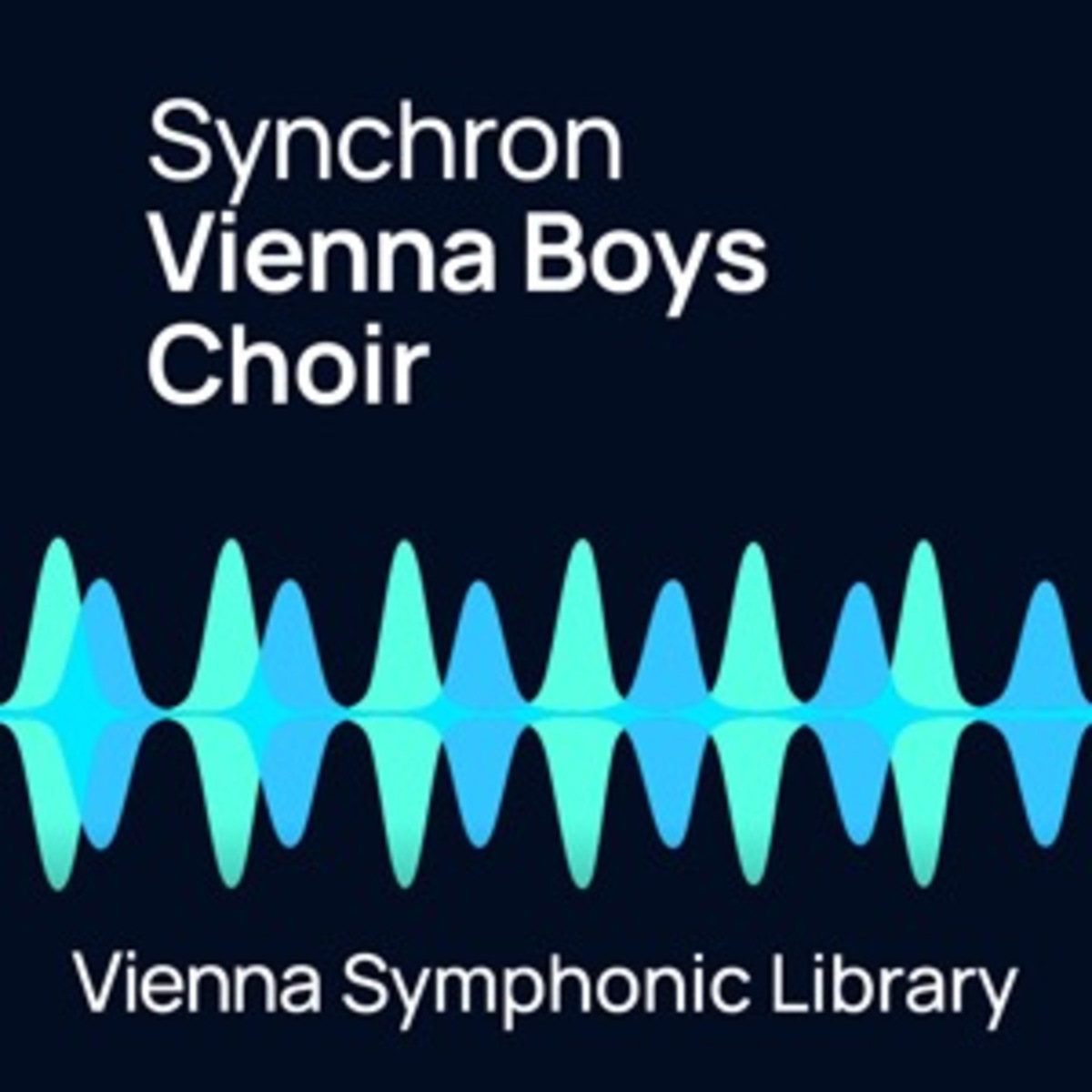 VIENNA(ビエナ) VIENNA BOYS CHOIR【在庫限り特価！】