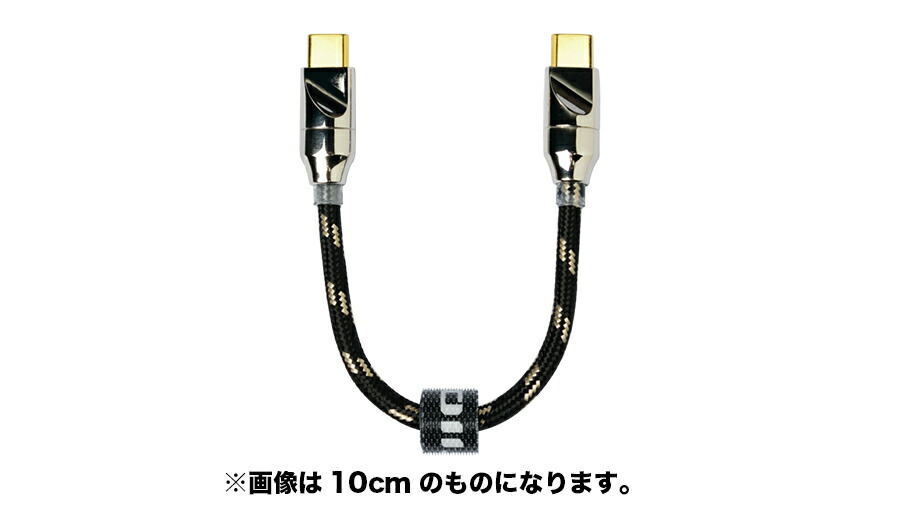 楽天市場】iFi Audio LAN iSilencer 単品 ネットワークLANフィルター