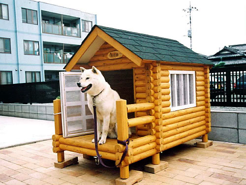 楽天市場 ログペットハウス1100型 屋外 柴犬 犬小屋 中型犬 小型犬 犬小屋工房たかべ