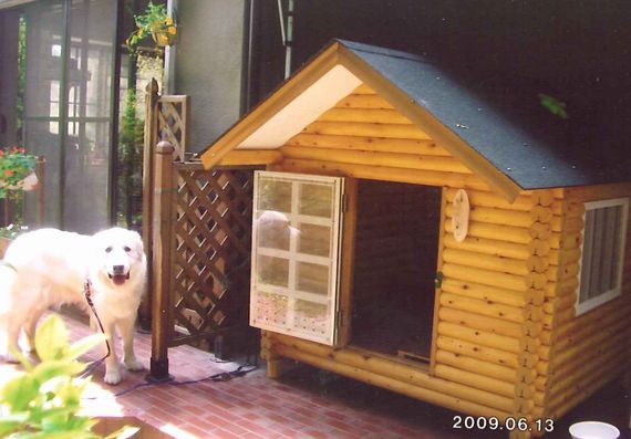 最安 大型犬 中型犬 小型犬 犬舎 ログペットハウス 1400型 デラックス 柴犬 ラブラドールレトリバー ゴールデンレトリバー 犬小屋 屋外 気質アップ Ihmc21 Com