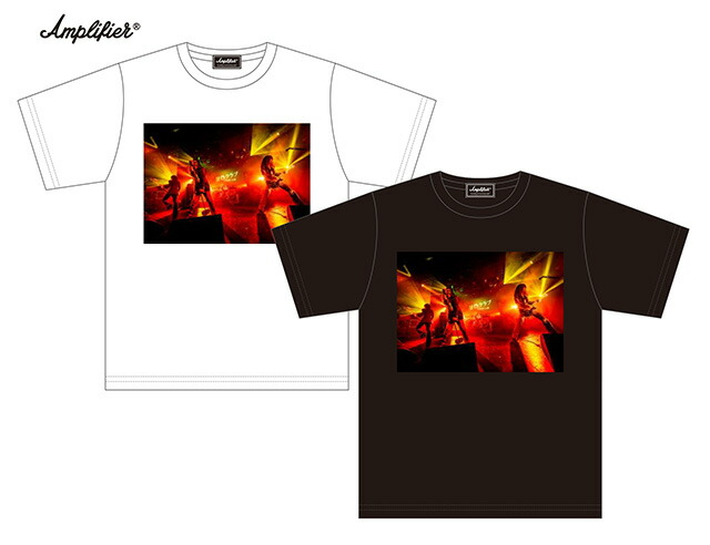 楽天市場】Amplifier アンプリファイア “甲本ヒロト” TEE T