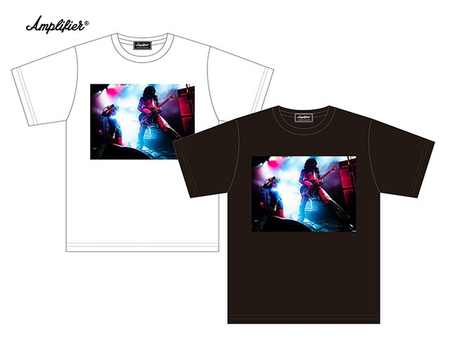 楽天市場】Amplifier アンプリファイア 