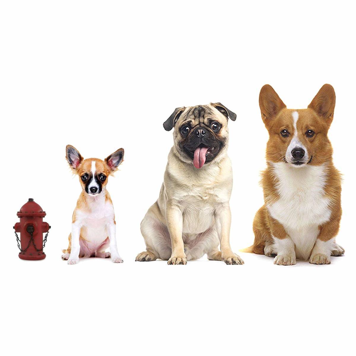 衝撃特価 ガーデン マーキングポール ドッグカフェ 彫刻 輸入品 犬のおしっこ目印 彫像 消火栓 サイズ スモール インテリア ガーデン装飾用 アクセント オーナメント Hlt No