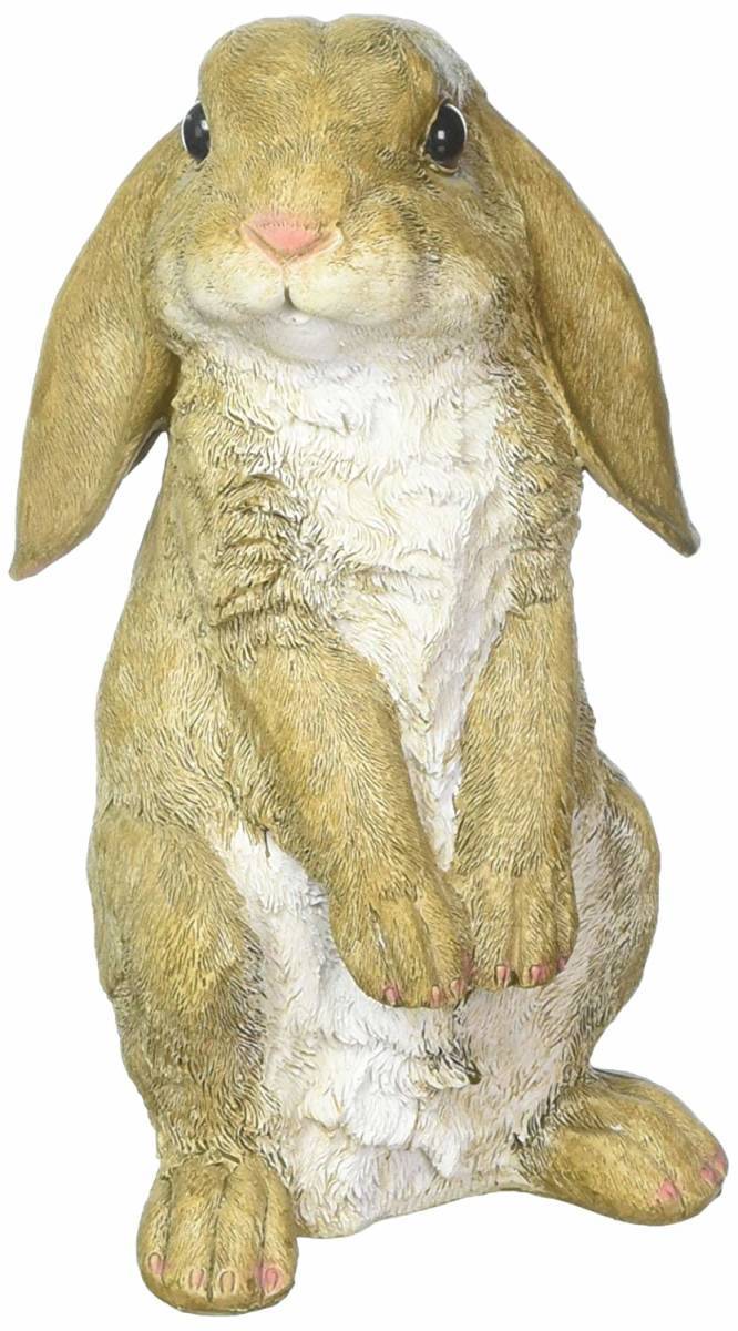 好奇心が強いウサギ 兎 のガーデン装飾 彫像 彫刻 ガーデニング 芝生 園芸 広場 ガーデニング プレゼント 贈り物 記念品 輸入品 Educaps Com Br