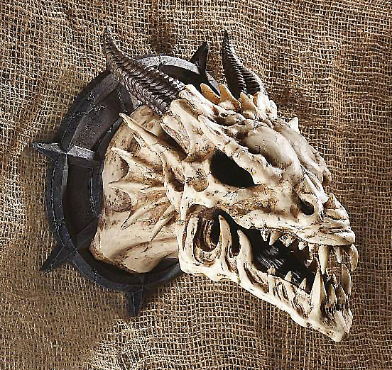 楽天市場】西洋彫刻 龍の骸骨 スカル剥製 マンチェスターのドラゴン