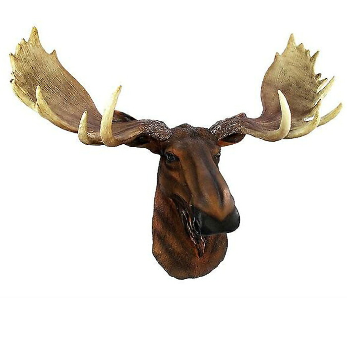 北米大陸のヘラジカ (ムース) 頭部 壁掛け彫刻 彫像 / North American Moose Head Bust Wall Hanging （輸入品