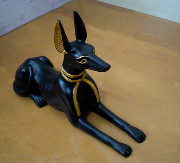 楽天市場 古代エジプトの座るアヌビス神 犬 の彫像 Egyptian Large Sitting Anubis Dog Statue 輸入品 浪漫堂ショップ