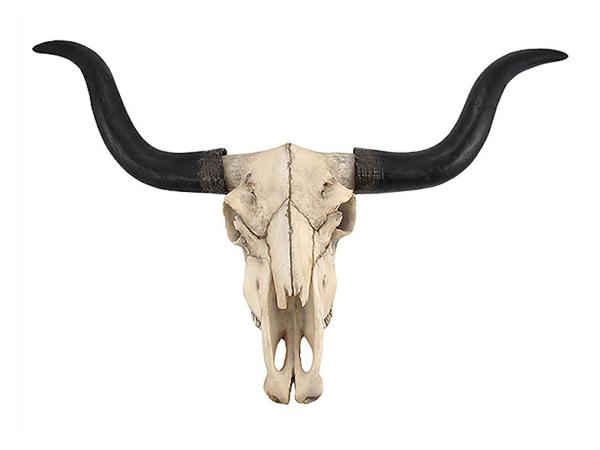 楽天市場 ロングホーン 牡牛 頭骨 レプリカ 壁掛け 彫刻 彫像 Long Horn Cow Skull Wall Hanging Longhorn Steer 輸入品 浪漫堂ショップ