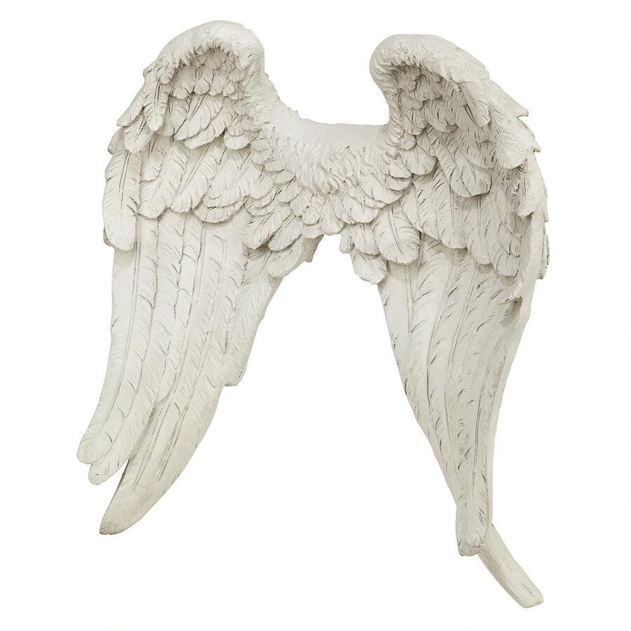 エンジェル 天使の翼 壁掛け装飾 インテリア彫像 彫刻 Design Toscano Napoleon Sculpture 輸入品 Mergertraininginstitute Com