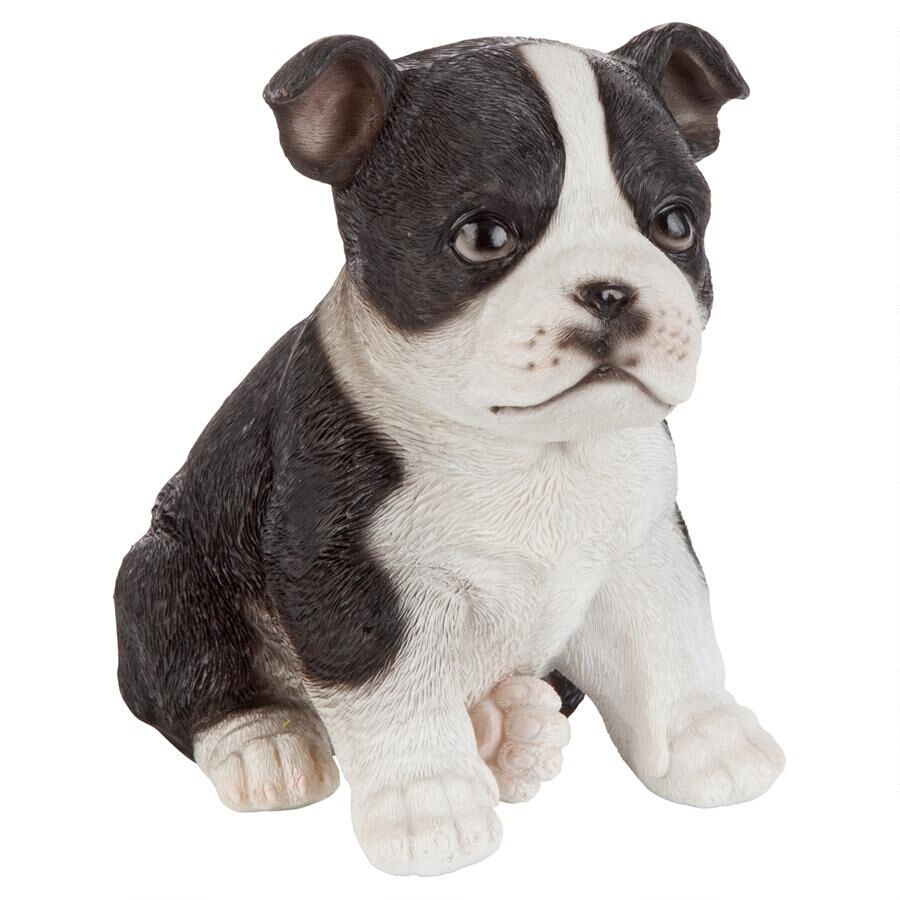 楽天市場】ボストンテリア（Boston Terrier） 犬の置物・オブジェ 彫像 
