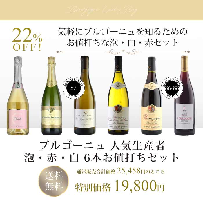 ワイン書き割り 福袋 ワイン ブルゴーニュ 人望造りだす人称 バブル コミュニズム 白 6編お取りえセット Marchesoni Com Br