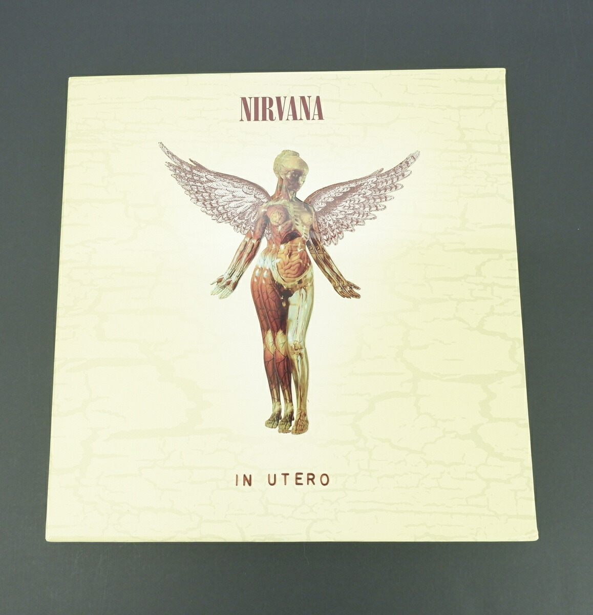 楽天市場】【輸入盤】 Nirvana ニルバーナ / In Utero: 20th
