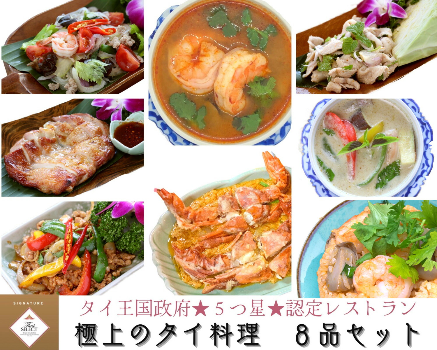 タイ料理 8種セット エスニック料理 母の日 詰め合わせ 本場 冷凍おかずセット ギフトセット レトルトパック 高級レトルト お取り寄せグルメ 簡単 絶品 高級冷凍食品 おいしい ヤムウンセン ナムトックコー・ムー ガイヤーン トムヤムクン グリーンカレー ガパオ・ガイ