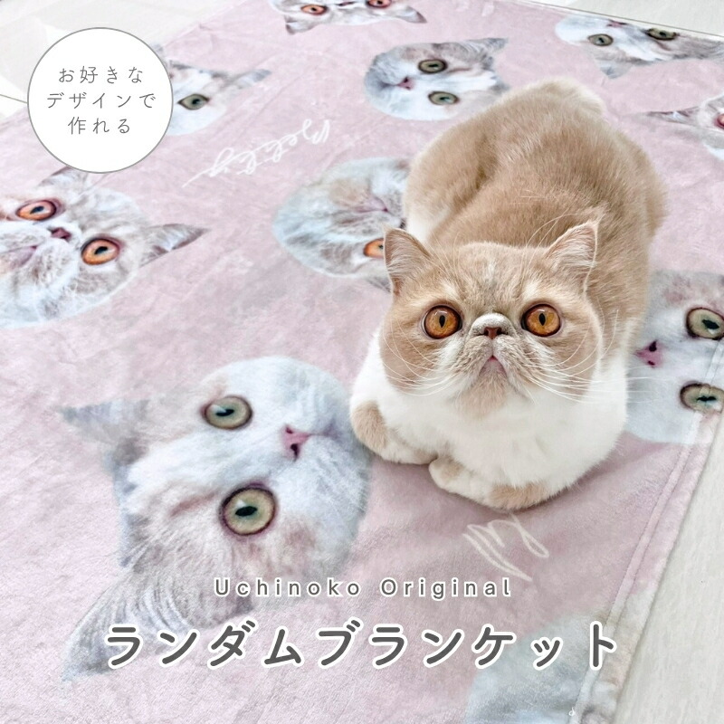 ぷくぷくクーポン券