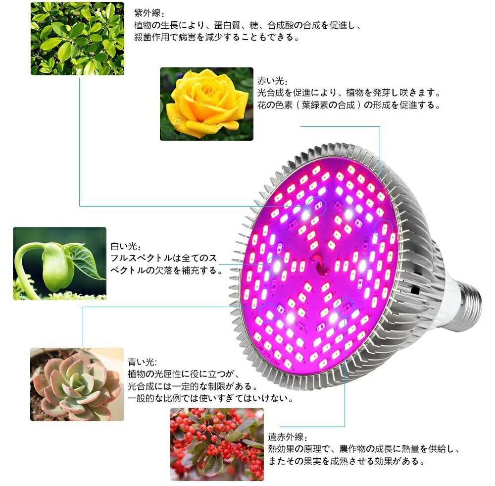 市場 LED植物育成ライト E26口金 フルスペクトラム 室内用ライト 水耕栽培ライト 80W 植物育成用ランプ