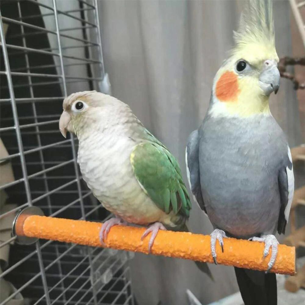 市場 インコ 吊下げタイプ玩具 バードトイ オウム セキセイインコ セキセイ 鳥おもちゃ 鳥の遊び場 鳥 鈴 おもちゃ 鳥グッズ かじり木