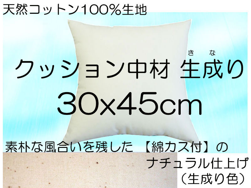 メーカー公式 ヌードクッション ３０ｘ４５cm クッション中材 クッション本体長方形クッション中材生成り Cushion techwyse.com