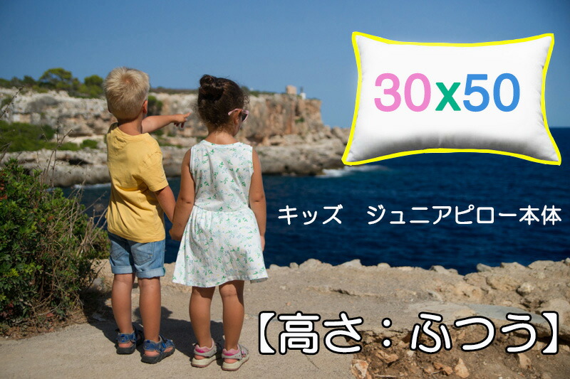 海外ピローカバーサイズ適応 50×75 ヌードピロー ヌードクッション長方形 ５０ｘ７５cm bed pillow 高さ： ふつうタイプ まくら中材