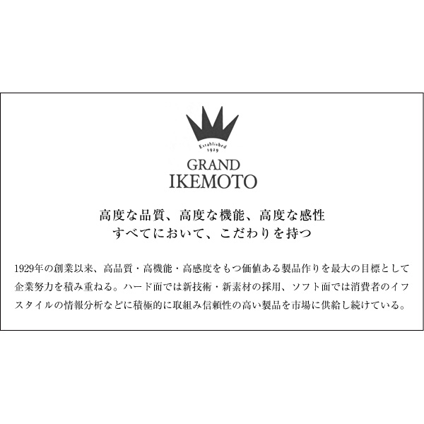 GRANDIKEMOTOグランドイケモト毛玉取りブラシIKC-3126