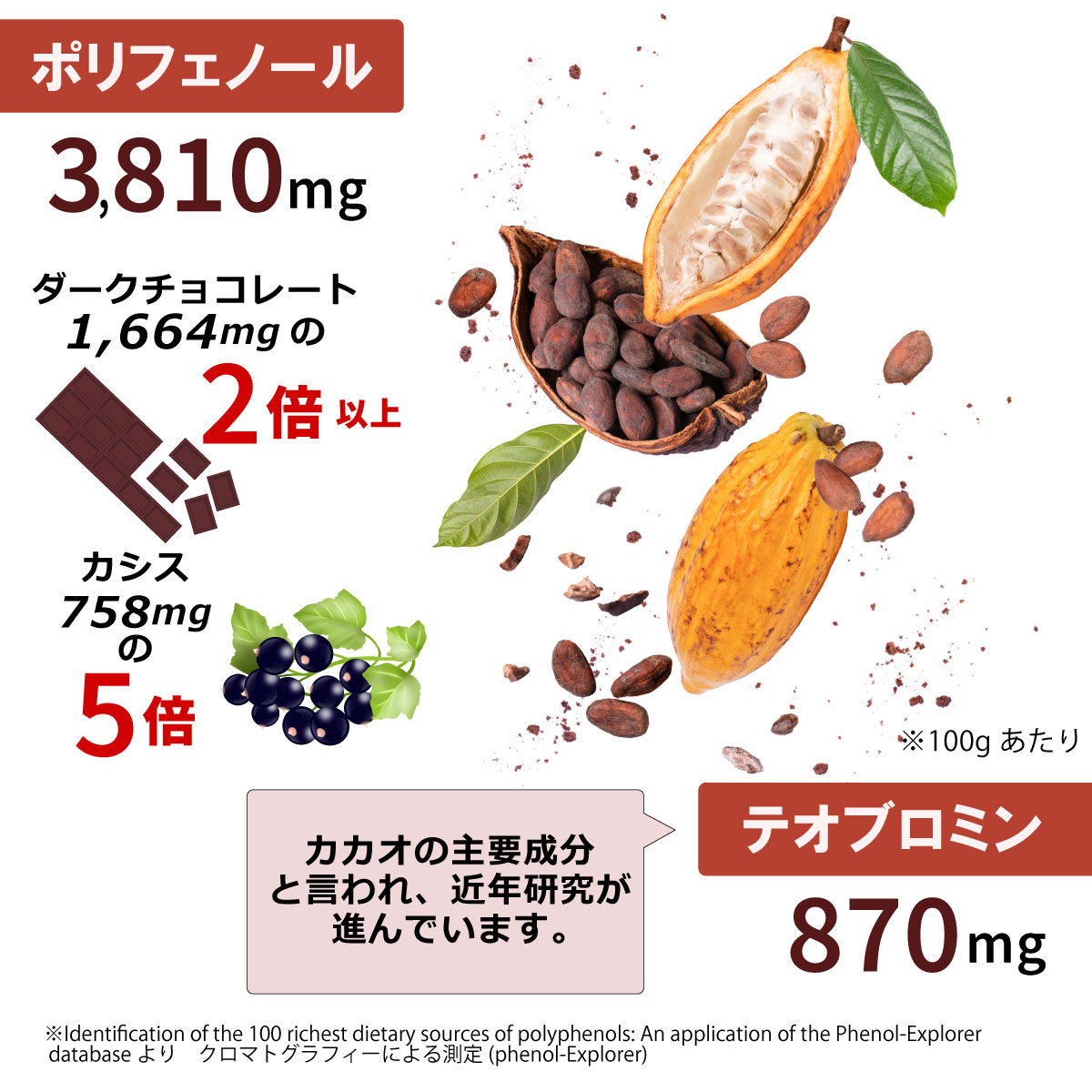 【2袋セット10OFF】クリオロ100 オーガニック ロー カカオニブ 200g 400g RAW 無添加 無糖 ペルー産 カカオ ピュア